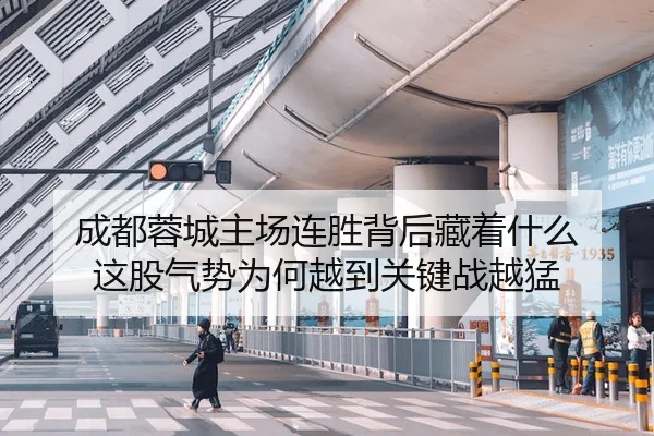 成都蓉城主场连胜背后藏着什么 这股气势为何越到关键战越猛